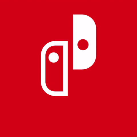Guia Instalacion Nintendo